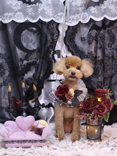 20231013そらちゃん